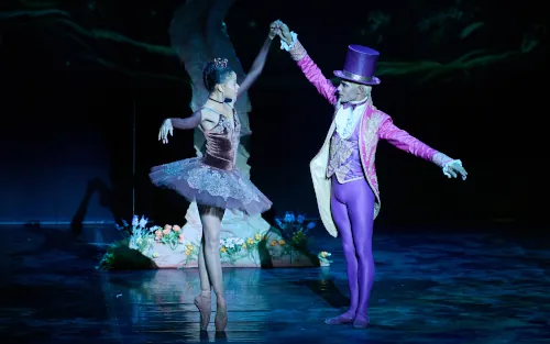 ballet costume collection